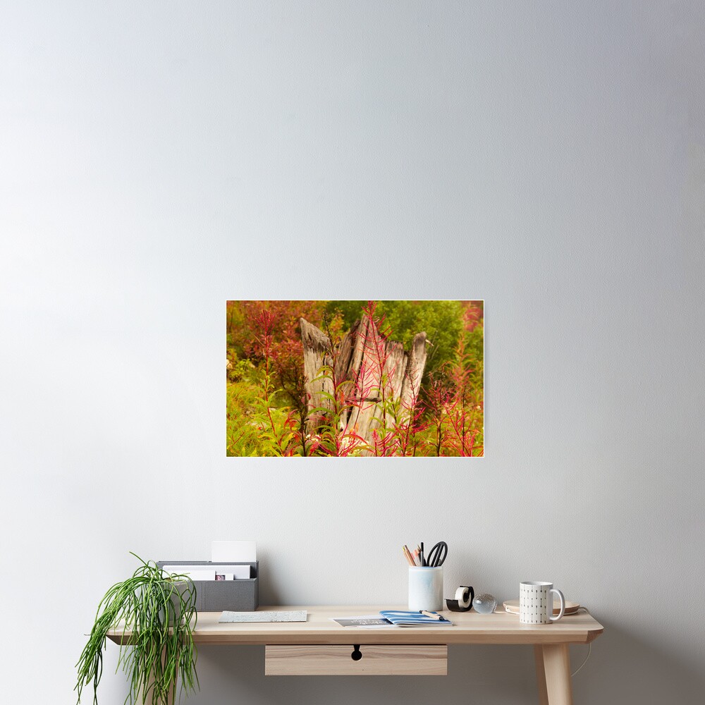 Vista previa del artículo con la obra «Póster», diseñado y vendido por schhim.
