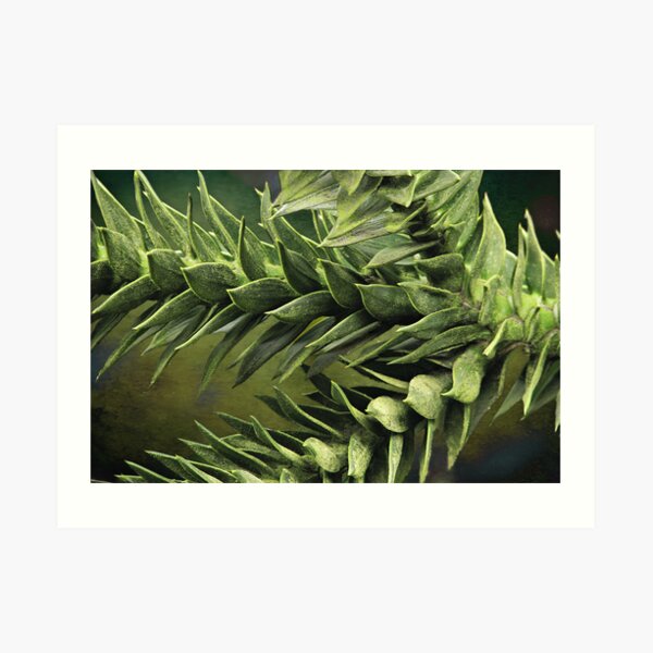 Part of the Puzzle Art Print