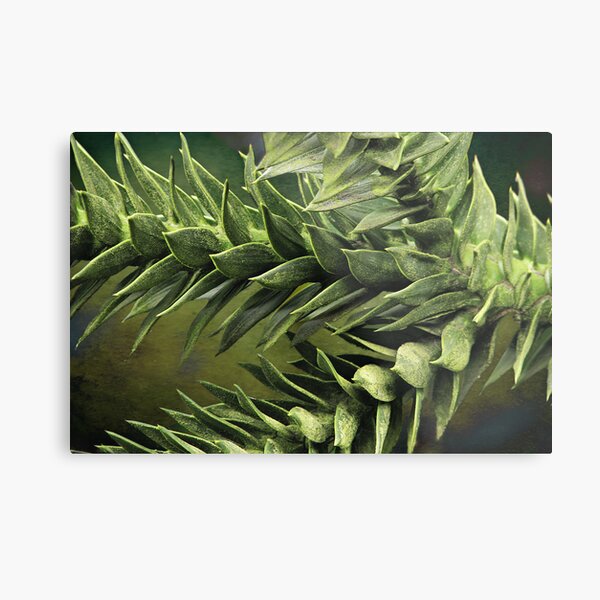 Part of the Puzzle Metal Print