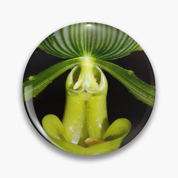 Item preview, Alien Orchid designed and sold by WaterGardens.
