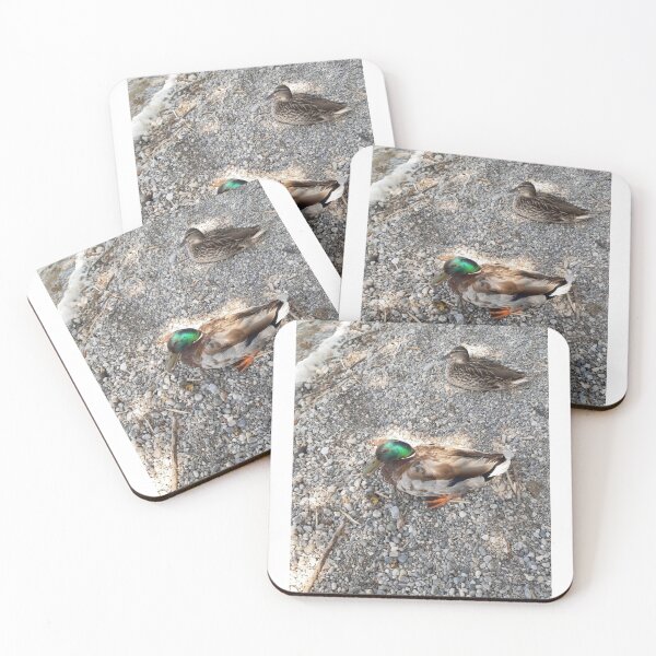 Item preview, Ducks, animals, nature designed and sold by Sternchen2789.