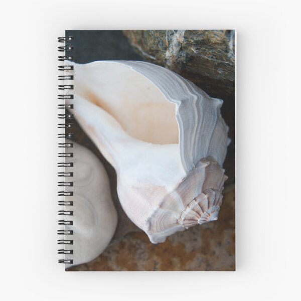 Item preview, Seashells And Water Stone  designed and sold by Elena Ray.