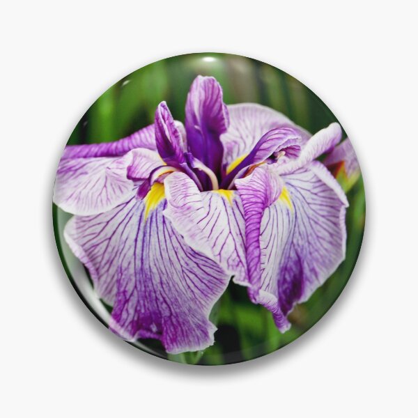 Artikelvorschau, Exotica entworfen und verkauft von WaterGardens.