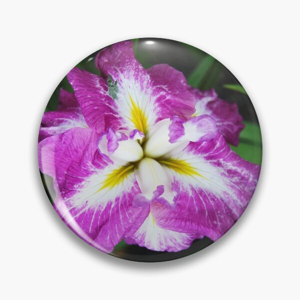 Item preview, Splendor designed and sold by WaterGardens.