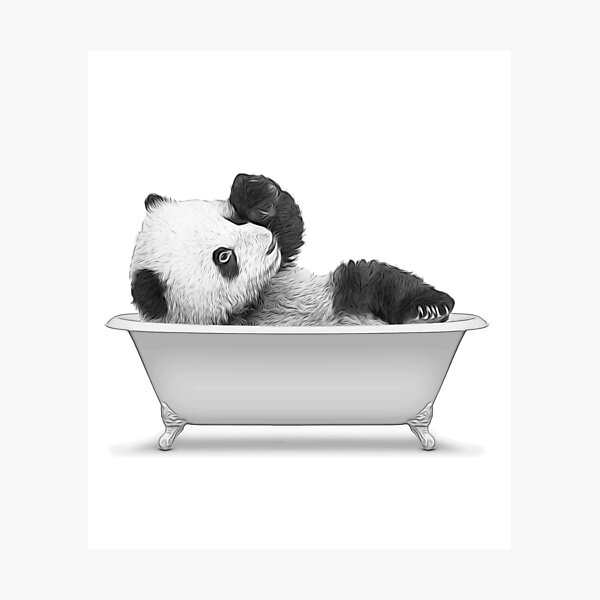 Tableau Libellule Sarcelle - Déco Murale Salle De Bain Style Ferme Rustique 30x40 Cm Sans Cadre