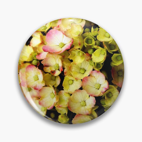 Item preview, Red-edged Hydrangea designed and sold by WaterGardens.