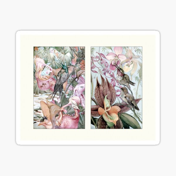 Tropisches Paradies 2 Julius Detmold Sticker
