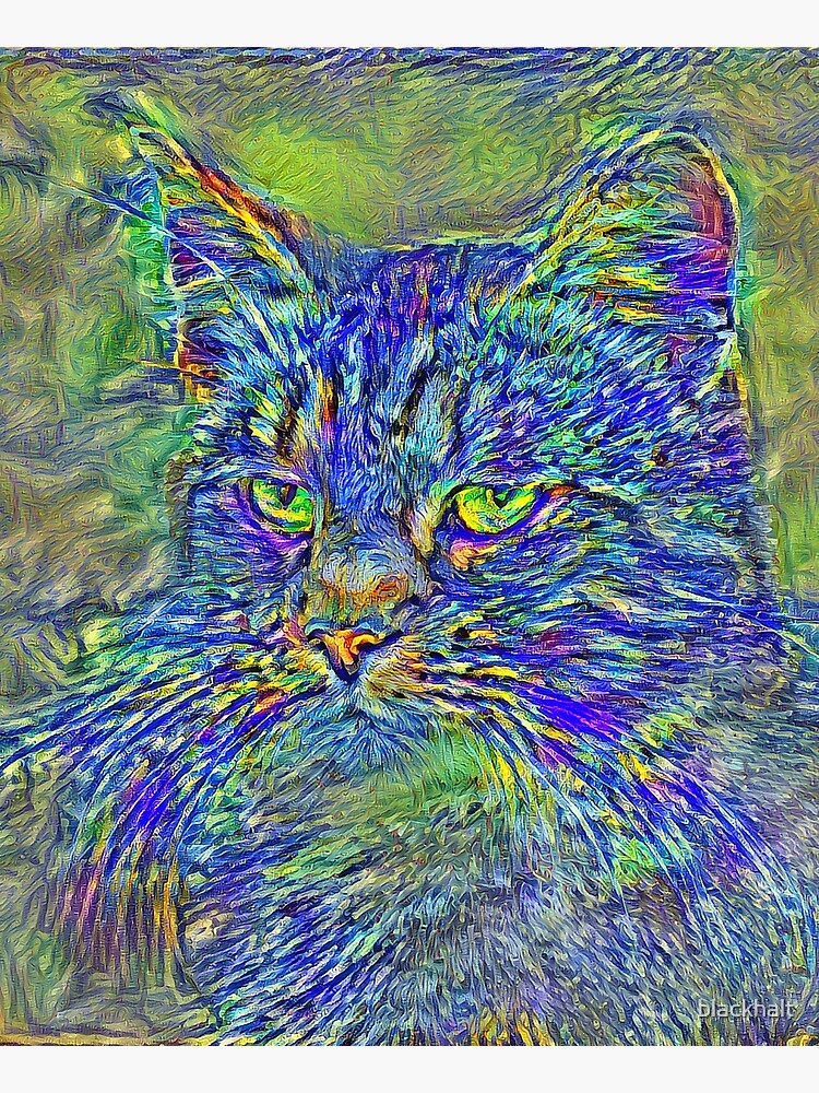 Artificial neural style Post-Impressionism cat by blackhalt