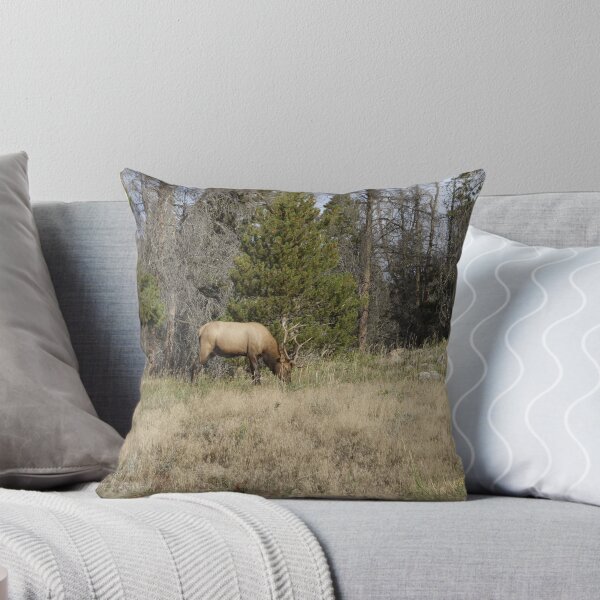 Item preview, Elk Grazing in Colorado designed and sold by Stratus13.