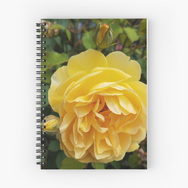 Artikelvorschau, Gelbe Rose mit Knospen entworfen und verkauft von Mary Ellen Tuite.