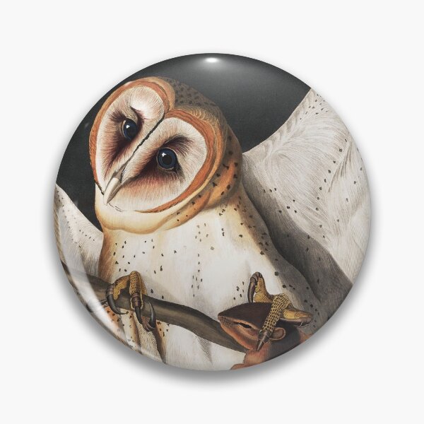 Item preview, Barn Owl With Prey by John James Audubon designed and sold by TheCurators.