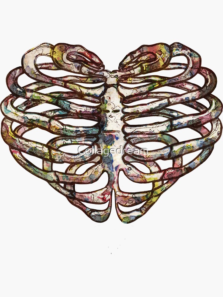 " ribcage, rib cage, heart shape, colorfull raimbow watercolor effect