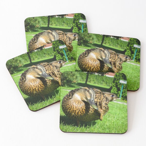 Item preview, Scratching Duck designed and sold by Innsmouth.