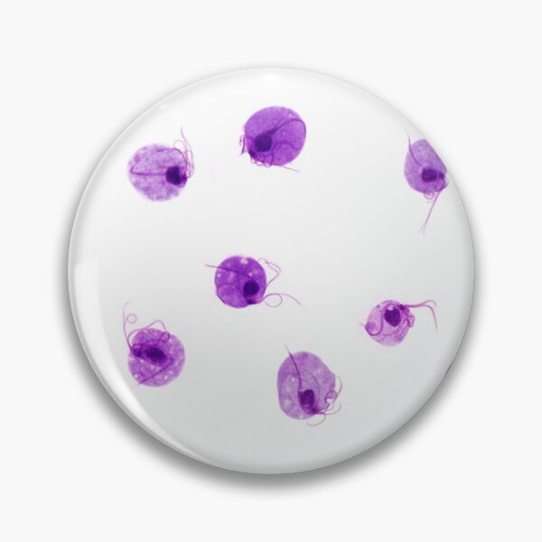 Item preview, Trichomonas vaginalis designed and sold by Bobbi Pritt.