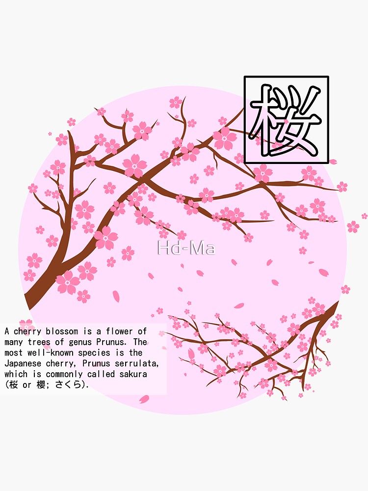 Sakura | Sticker