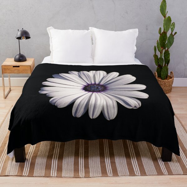 Item preview, White African daisy or Cape Daisy (Osteospermum) on black background designed and sold by lena-maximova.