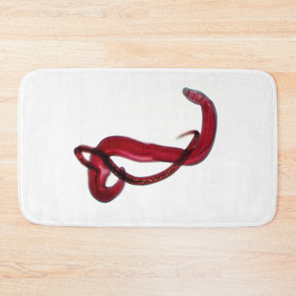 Item preview, Schistosoma mansoni couple designed and sold by Bobbi Pritt.