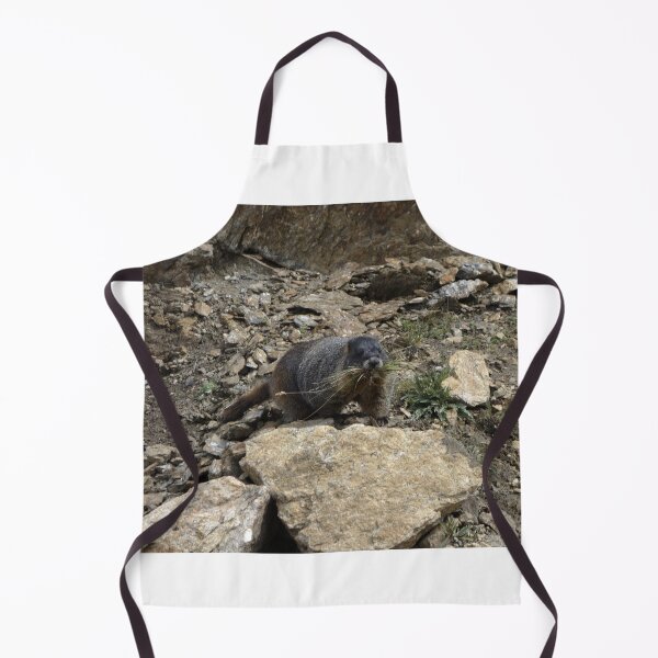 Item preview, Rocky Mountain Marmot Eating designed and sold by Stratus13.
