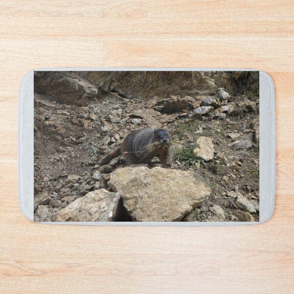 Item preview, Rocky Mountain Marmot Eating designed and sold by Stratus13.