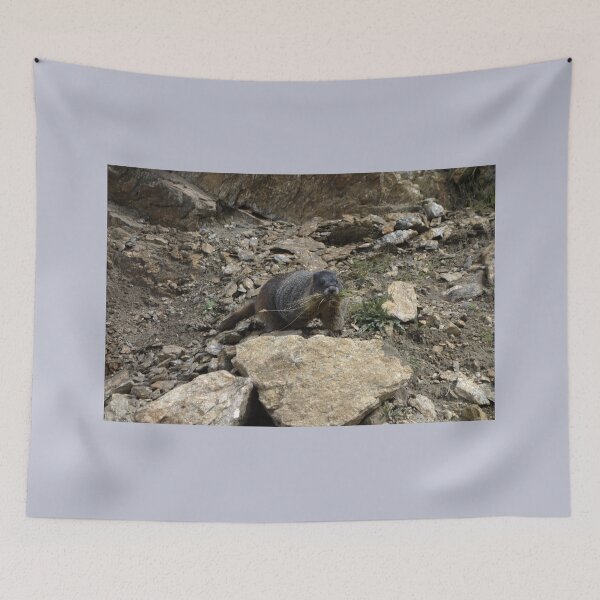 Item preview, Rocky Mountain Marmot Eating designed and sold by Stratus13.