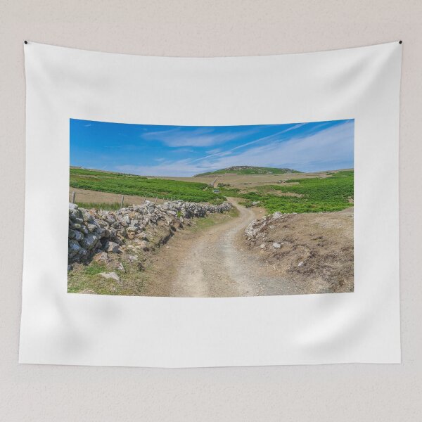 Item preview, The path to Carnllundain on Ramsey Island designed and sold by yackers1.
