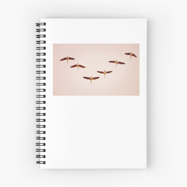 Item preview, Geese Flying In 'V' Formation designed and sold by Laurie Minor.
