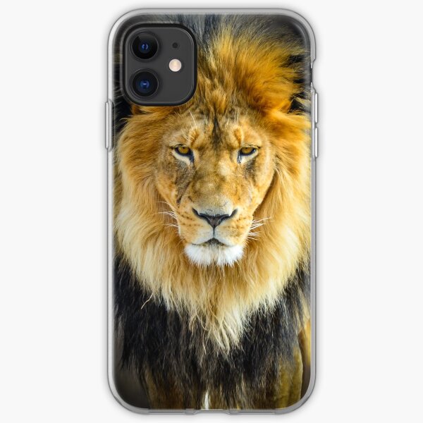 Lion with Intimidating Stare iPhone Soft Case
