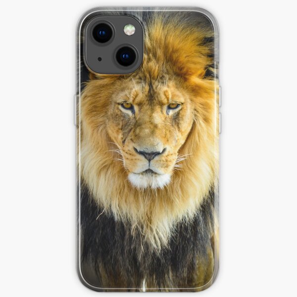 Lion with Intimidating Stare iPhone Soft Case