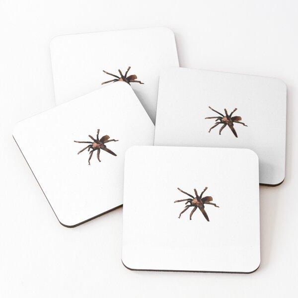 Item preview, cute tarantula designed and sold by MsTyson.