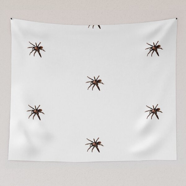 Item preview, cute tarantula designed and sold by MsTyson.