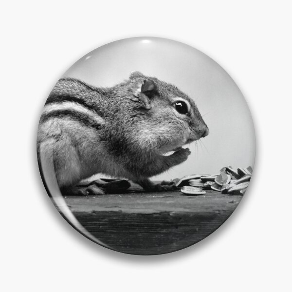 Item preview, Busy chippy designed and sold by Laurie Minor.
