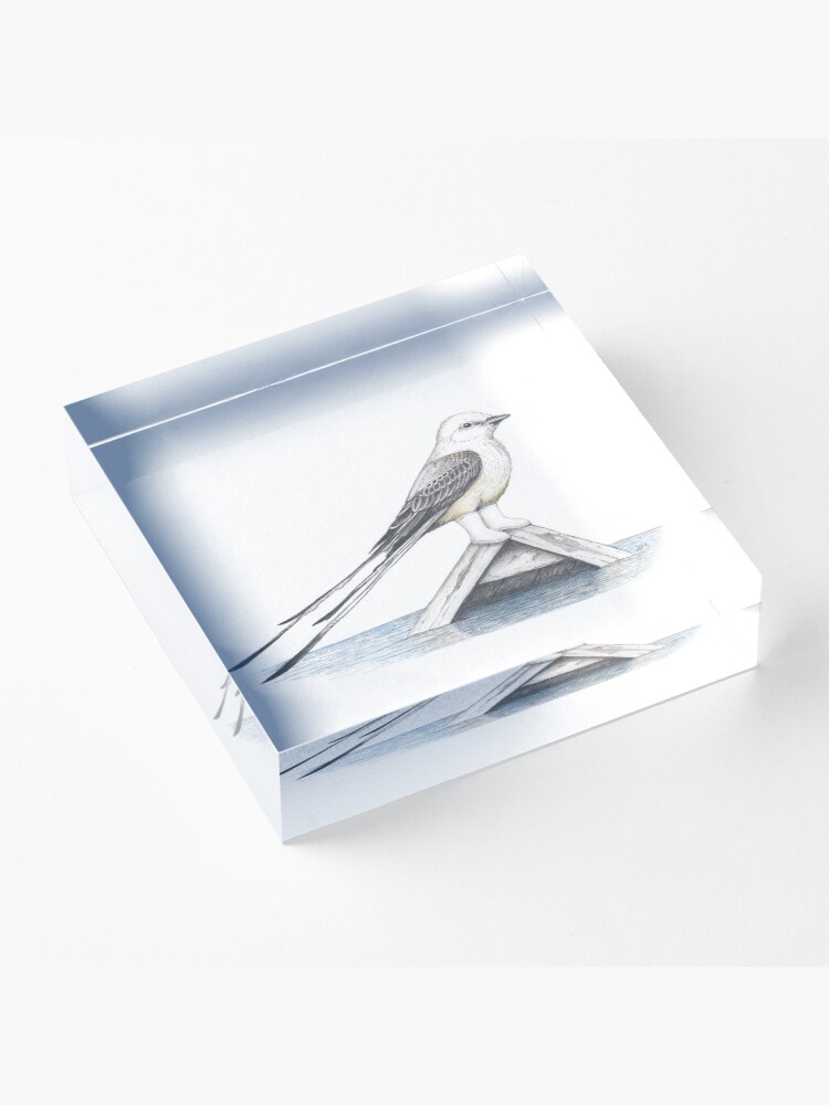 Thumbnail 3 of 5, Acrylic Block, Scissor tail flycatcher in shrimper boots designed and sold by JimsBirds.