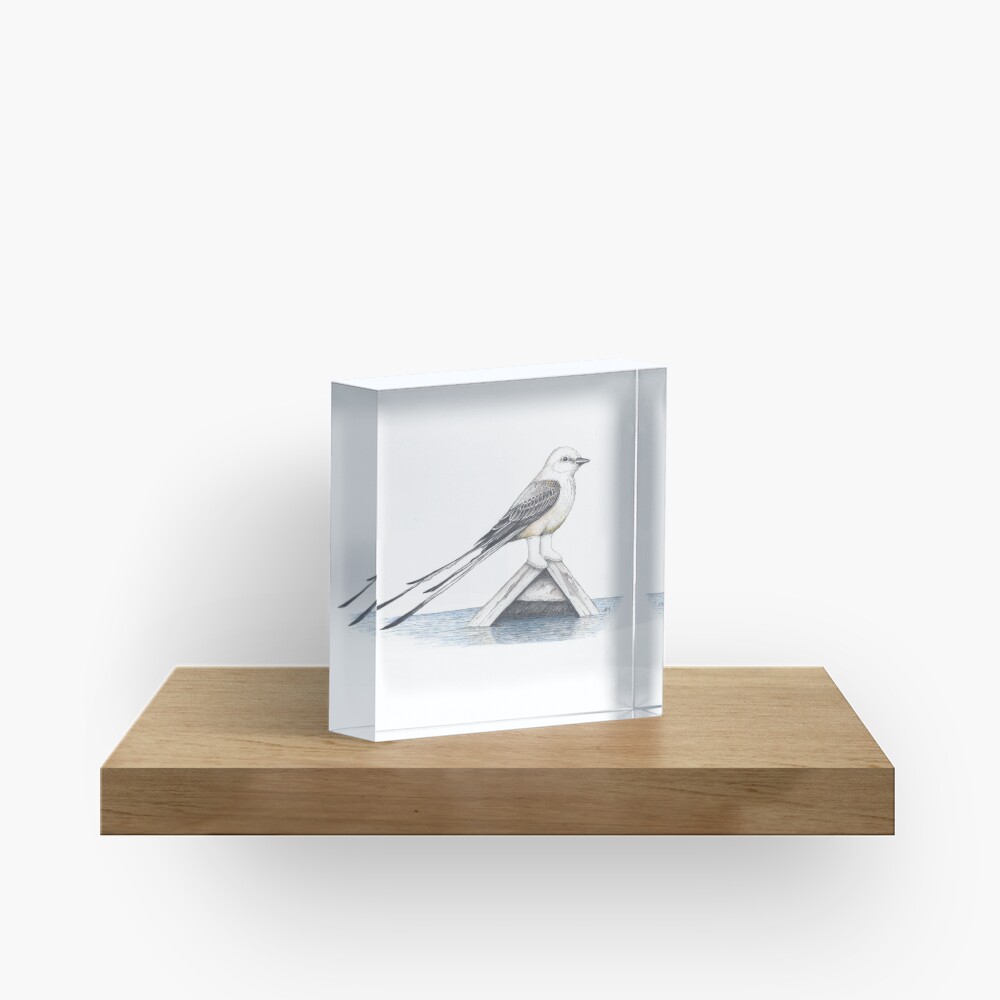 Scissor tail flycatcher in shrimper boots Acrylic Block