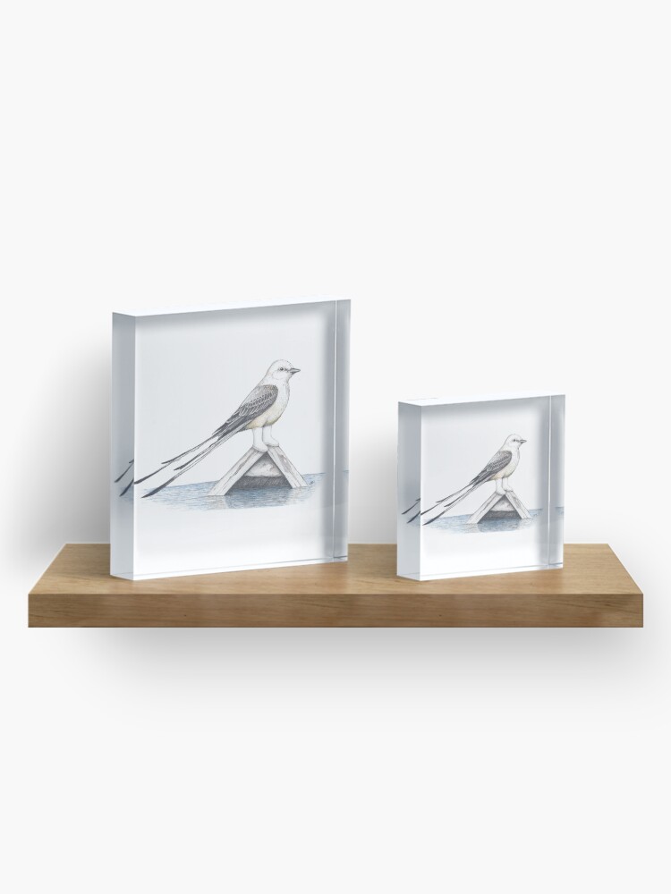 Thumbnail 4 of 5, Acrylic Block, Scissor tail flycatcher in shrimper boots designed and sold by JimsBirds.