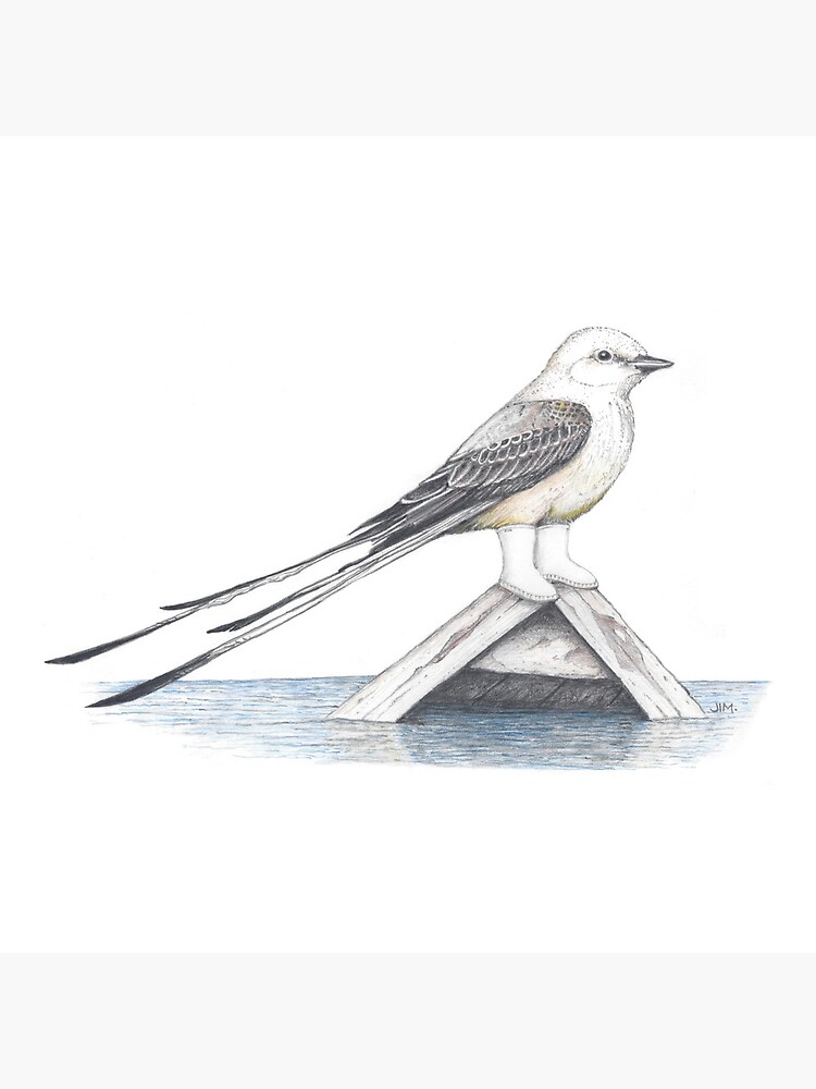 Thumbnail 5 of 5, Acrylic Block, Scissor tail flycatcher in shrimper boots designed and sold by JimsBirds.