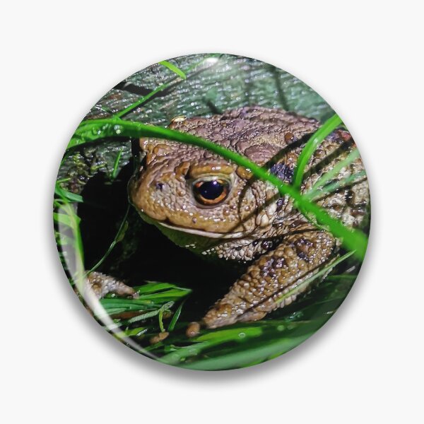 Item preview, Night crawler designed and sold by NJaysArt.