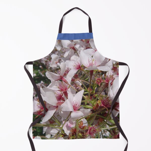 Item preview, Floral Fun - Cherry Blossoms at Kew Gardens 6 designed and sold by ellenhenry.