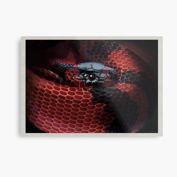 Honduran milksnake Metal Print