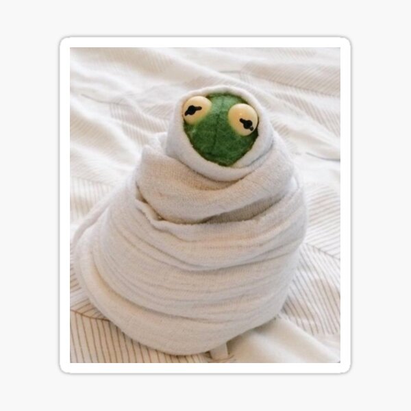 "mood kermit" Sticker for Sale by Irene-Urzaiz | Redbubble