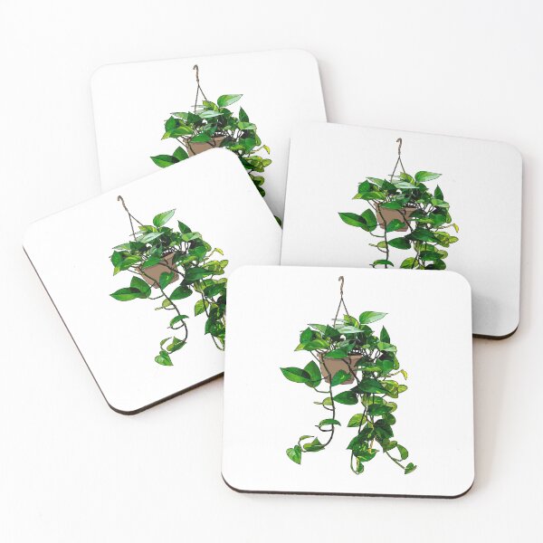 Item preview, Hanging Pothos Plant designed and sold by Barkmae.