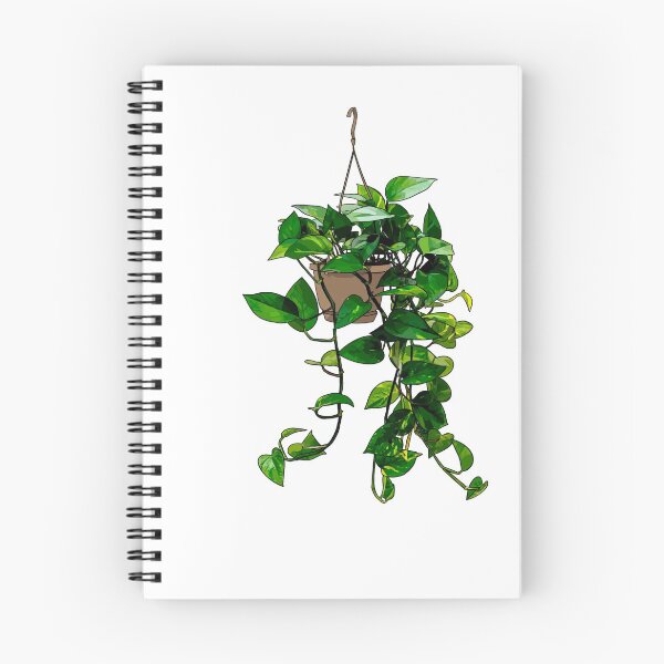 Item preview, Hanging Pothos Plant designed and sold by Barkmae.