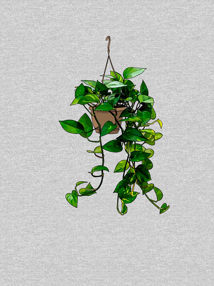 Hanging Pothos Plant by Barkmae