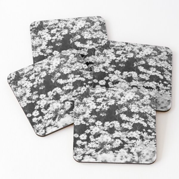 Item preview, Black and white field of daisies on the Orkney island of Hoy in Scotland  designed and sold by Alan Mackinnon.