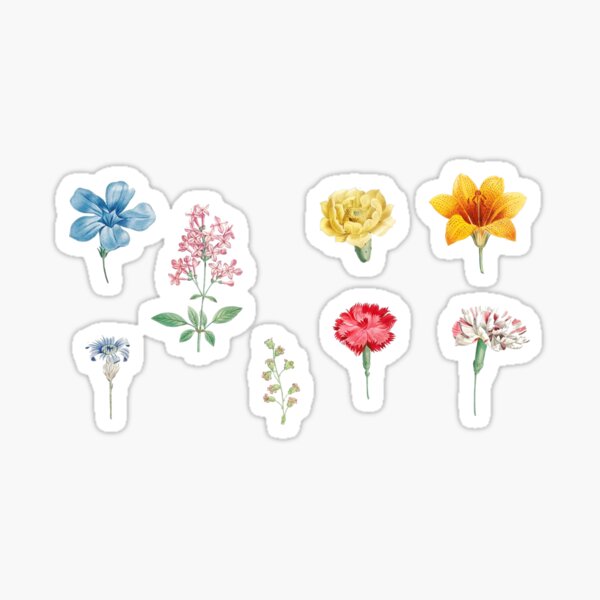 flower drawing set Sticker
