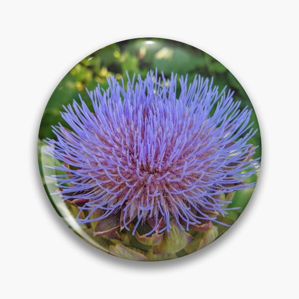Item preview, Artichoke Flower in Saint Louis Missouri designed and sold by maria-sunshine.