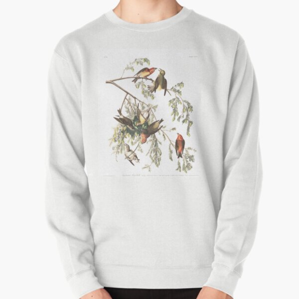 Best Birds of America Farmcore Cottagecore Audobon American Crossbill Science Art Illustration Print Pullover Sweatshirt