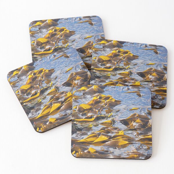 Item preview, Seaweed kelp beds at Cantick on Hoy  designed and sold by Alan Mackinnon.