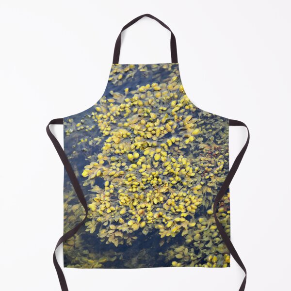 Item preview, Seaweed on the Orkney island of Hoy designed and sold by Alan Mackinnon.