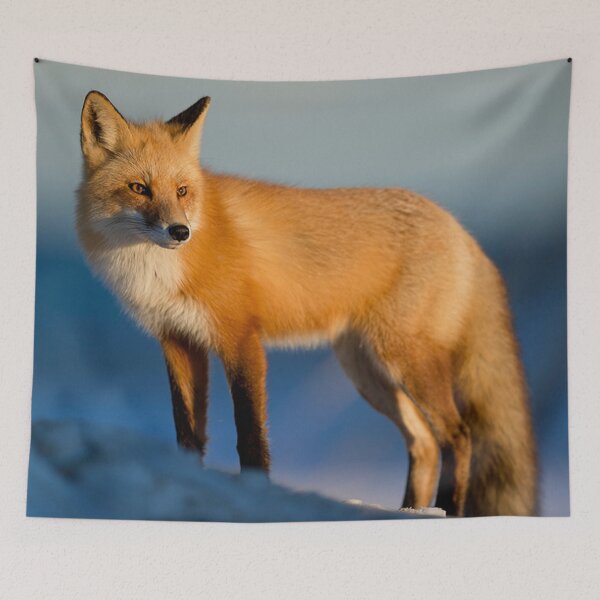 Item preview, Fox Stands Alone designed and sold by Tim Thompson.