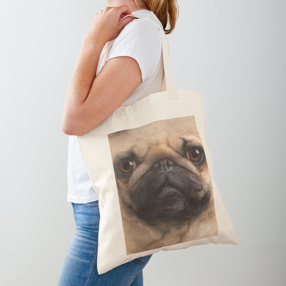 Toysbag Cute Soft Stuffed Bag for Nursery School Kids (Pug Bag) :  Amazon.in: Bags, Wallets and Luggage